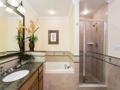 Orlando Home 946391
