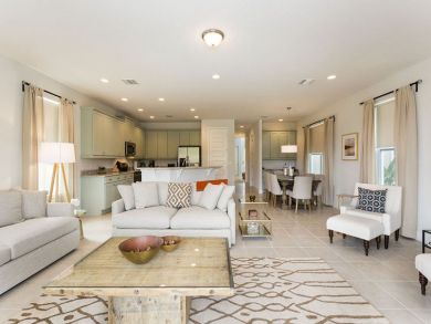 Orlando Home 946392
