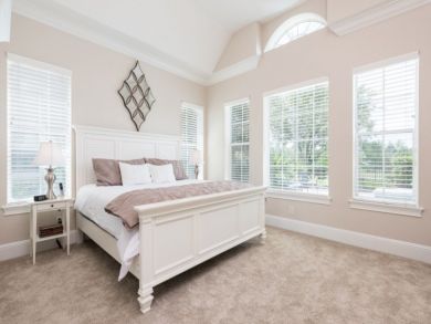 Orlando Home 946393