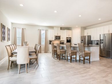 Orlando Home 946401
