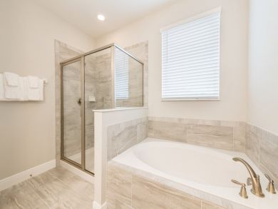Orlando Home 946401