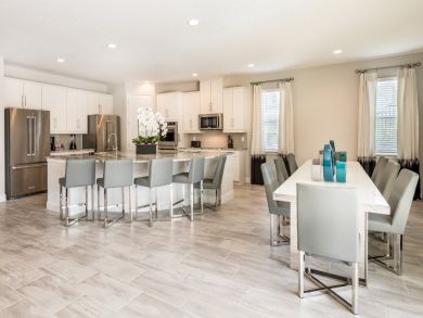 Orlando Home 946403