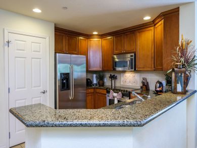Orlando Home 946408