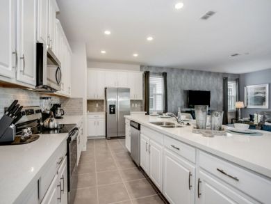 Orlando Home 946413