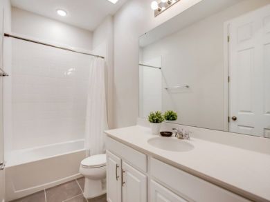 Orlando Home 946413