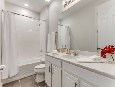 Orlando Home 946416