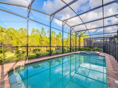 Orlando Home 946435
