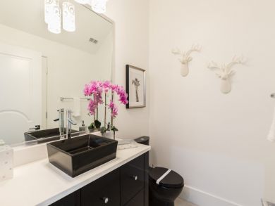 Orlando Home 946446