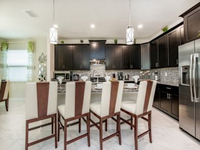 Orlando Home 946467