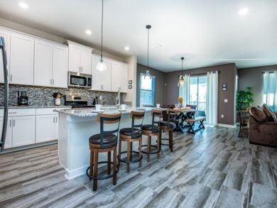 Orlando Home 946469