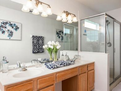 Orlando Home 946474