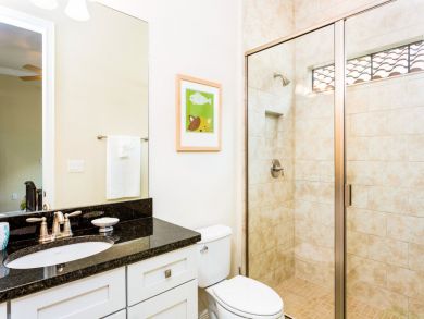 Orlando Home 946481