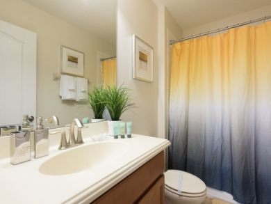 Orlando Home 946492 Orlando Home 946492