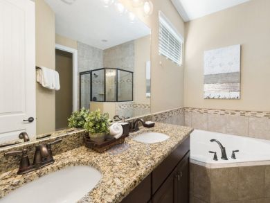Orlando Home 946503