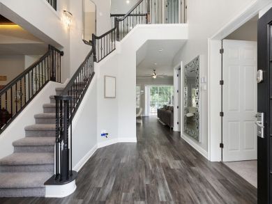 Orlando Home 946507