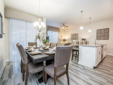 Orlando Home 946518