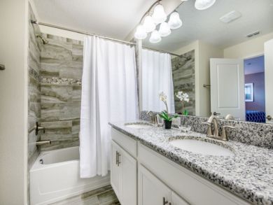Orlando Home 946522