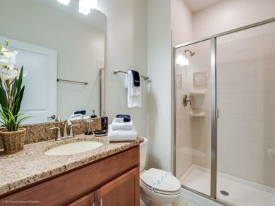 Orlando Home 946530