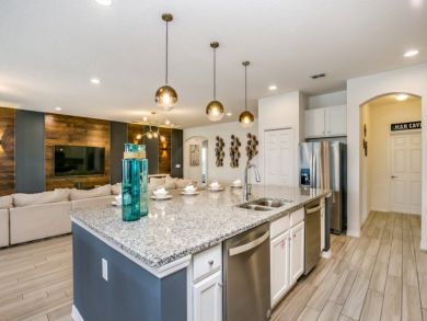 Orlando Home 946535