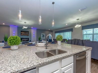 Orlando Home 946537