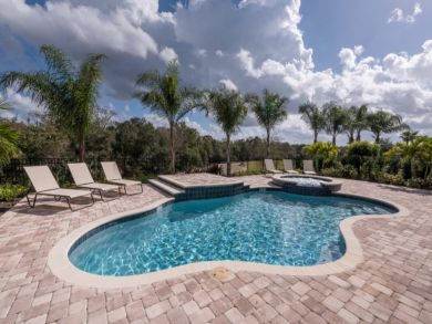 Orlando Home 946540