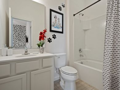 Orlando Home 946542 Orlando Home 946542