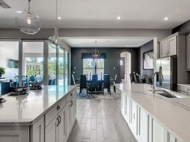 Orlando Home 946564
