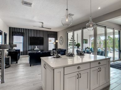 Orlando Home 946564
