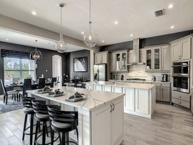 Orlando Home 946564