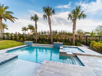 Orlando Home 946570