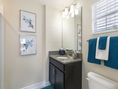 Orlando Home 946572