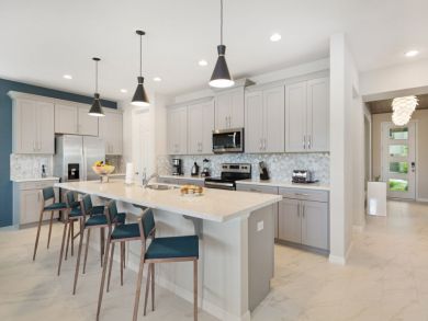 Orlando Home 946588