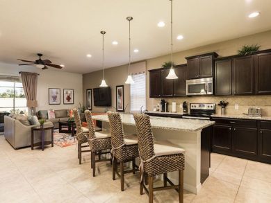 Orlando Home 946589