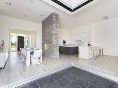 Orlando Home 946595