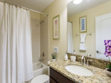 Orlando Home 946596