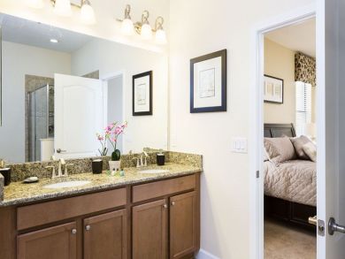 Orlando Home 946609