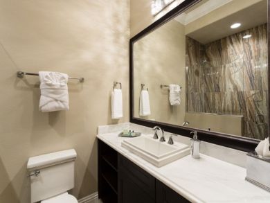 Orlando Home 946614