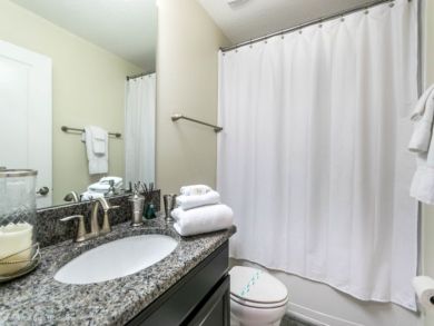 Orlando Home 946616