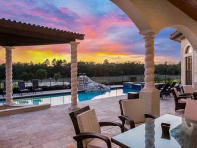 Orlando Home 946617
