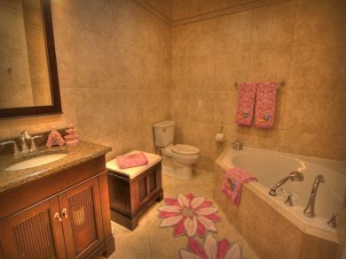 Orlando Home 946622