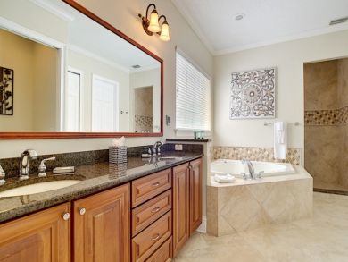 Orlando Home 946624