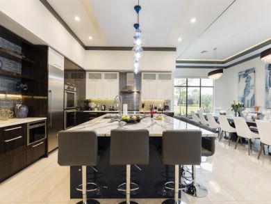 Orlando Home 946637