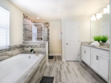 Orlando Home 946638