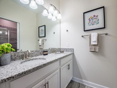 Orlando Home 946643