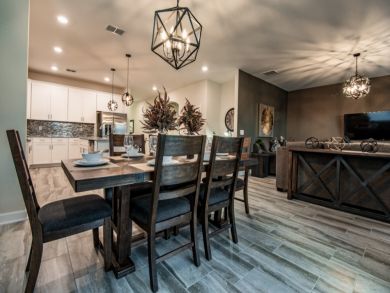Orlando Home 946647