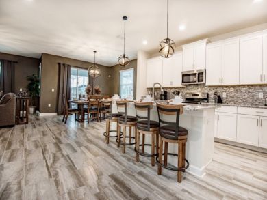 Orlando Home 946647