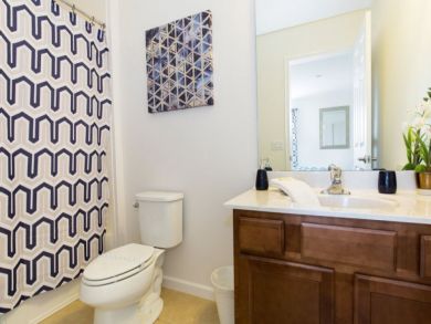 Orlando Home 946649