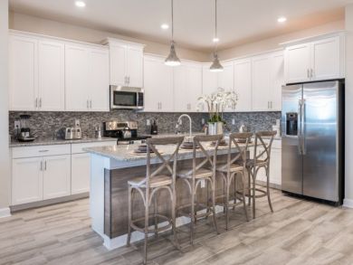Orlando Home 946651