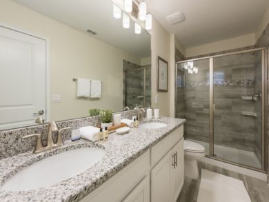 Orlando Home 946651