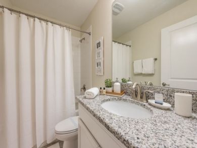Orlando Home 946651